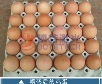 雞蛋可以用激光噴碼機嗎？