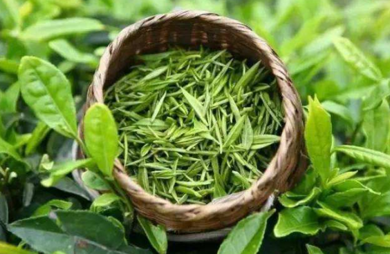 茶葉 茶葉
